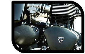 Triumph T100 865cc engine close-up